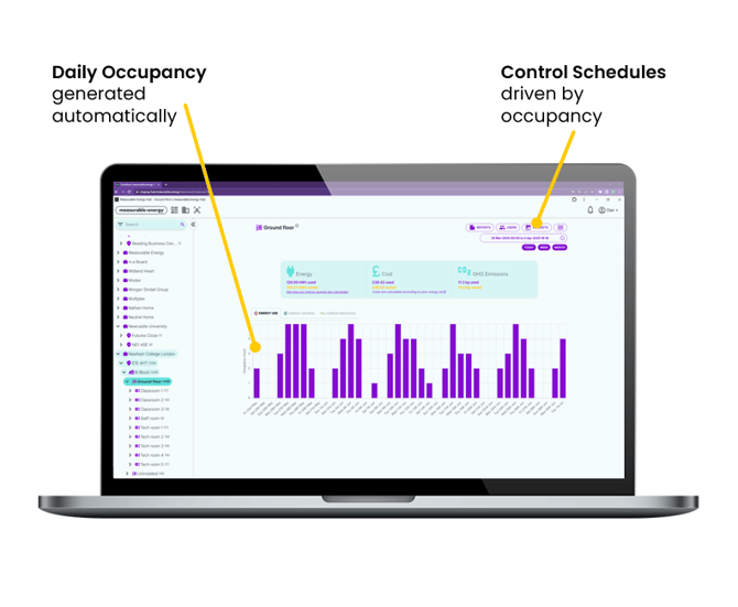 image-20250813-114931